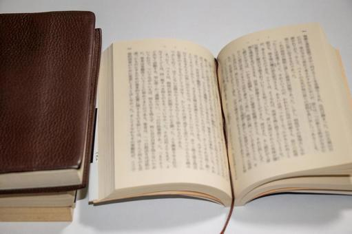 消しゴムころりん (岡田淳) | 国語教科書の素材辞典